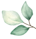 host-leave host leave