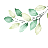 leaves-image leaves image about